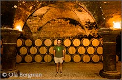Bénigne Joliet at Domaine de la Perrière in Fixin, Burgundy.