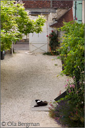 Domaine Maltoff in Coulanges-la-Vineuse, Burgundy.