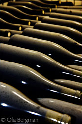 Chablis bottles at Lamblin & Fils.