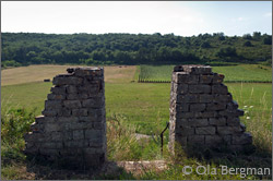 Bouzeron, Burgundy.