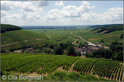 View from Pernand-Vergelesses