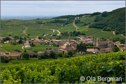 View over Fuissé in the Mâconnais, Burgundy.