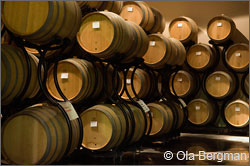 Domaine Thibert in Fuissé, Burgundy.