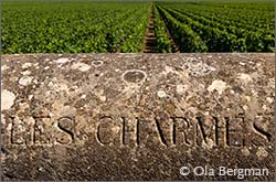 Meursault, Charmes.