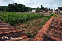 Les Corbeaux, Gevrey-Chambertin