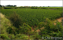 La Perrière, gevrey-Chambertin