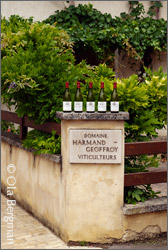Domaine Harmand-Geoffroy, Gevrey-Chambertin.