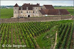 Chateau de Clos de Vougeot, Burgundy.