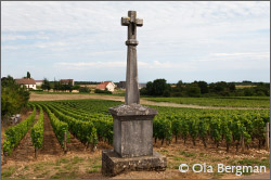 Chaux, Burgundy.