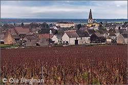 Givry, Burgundy.
