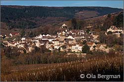 Pernand-Vergelesses in Burgundy.