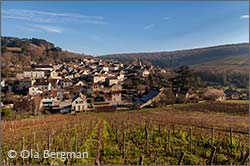 Pernand-Vergelesses in Burgundy.