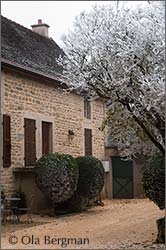 Domaine Bart, Marsannay, Burgundy.