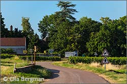 Gevrey-Chambertin.