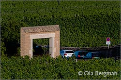 Le Clos Blanc de Vougeot.