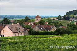 Gevrey-Chambertin.