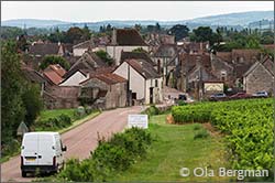 Givry, Burgundy.