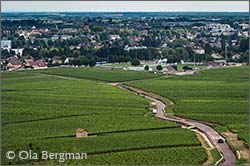 Beaune in Burgundy.