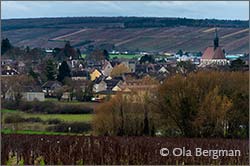 Chablis, Burgundy.