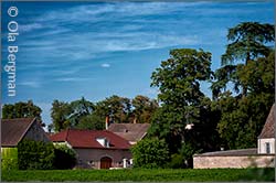 Domaine Albert Grivault, Meursault, Burgundy.
