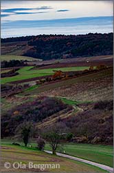 Chitry-le-Fort, Burgundy.