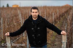 Damien Martin at Domaine de la Denante in Davayé.