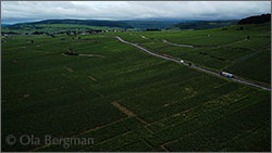 Volnay premier crus from above.