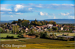 Jully-lès-Buxy, Burgundy.