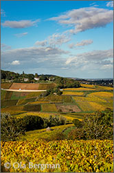 Montagny, Burgundy.