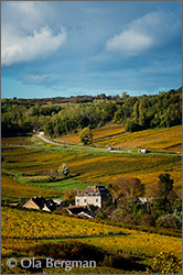 Montagny-lès-Buxy, Burgundy.
