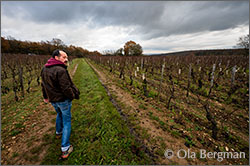 Hervé Philippe in Champvent, Burgundy.