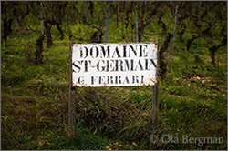 Irancy. Domaine Saint-Germain became Domaine Ferrari in 2006.