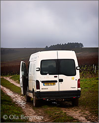 Bourgogne Côtes d'Auxerre, Les Boisseaux – Domaine Petitjean.