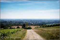 View over Dijon.