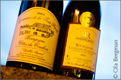 Bourgogne Côte-du-Couchois by Domaine Royet and Domaine de la Tour Bajole.