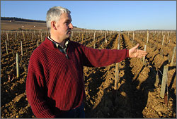 Pierre Cornu, Domaine Edmond Cornu & Fils.