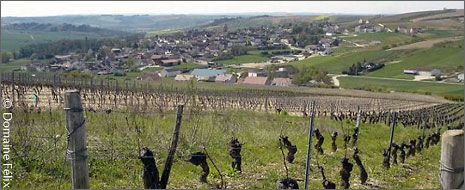 Springime in Saint Bris Le Vineux.
